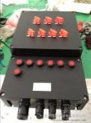 BXM8050-6/16K80防爆防腐照明配电箱