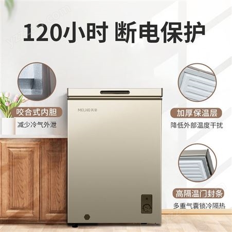 美菱100升小冷柜家用冰柜冷藏冷冻转换一级单温减霜BC/BD-100DT
